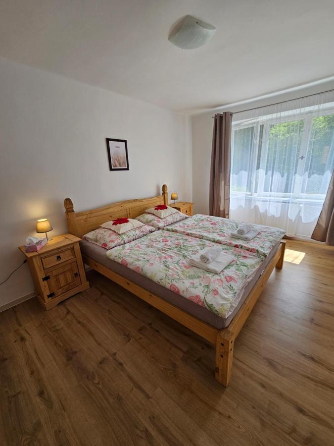 Apartman U Labe Decin Exterior foto